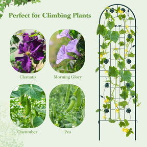 2PCS Metal Garden Trellis Fence Rustproof Climbing Plant Wall Decorative Screen