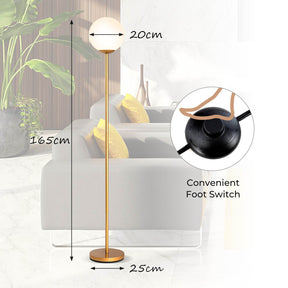 LED Floor Lamp, Globe Lamp Cover Floor Lamp Mid Century Modern Standing Lamp